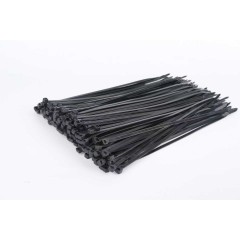 CHS/长虹塑料 自锁式尼龙扎带，宽度10mm 黑色 售卖规格：100根/包