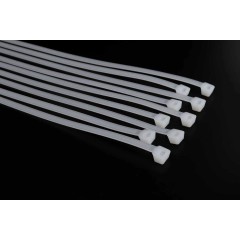 CHS/长虹塑料 自锁式尼龙扎带，宽度8mm 白色 售卖规格：100根/包