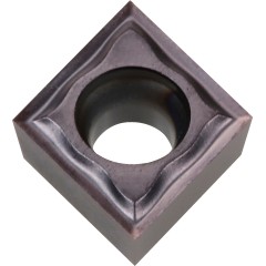 CCGT 09T304 