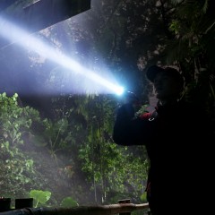 SupFire/神火 手电 A5 300流明  3W 售卖规格：1个 